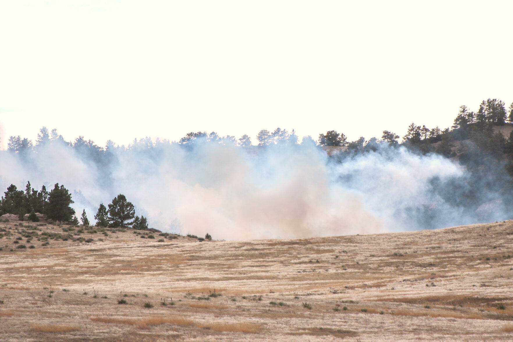 PHOTOS: Buffalo Creek Wildfire 2021
